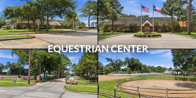 18726 Scoresby Manor Drive, Spring, TX 77379
