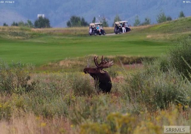 377 Woodland Star, Driggs, ID 83422