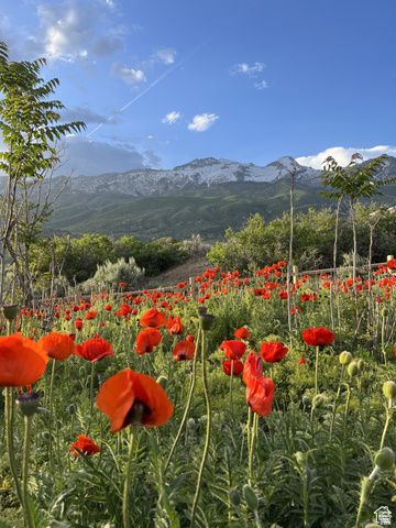 3862 W Oak Hill Dr Unit 7, Alpine, UT 84004