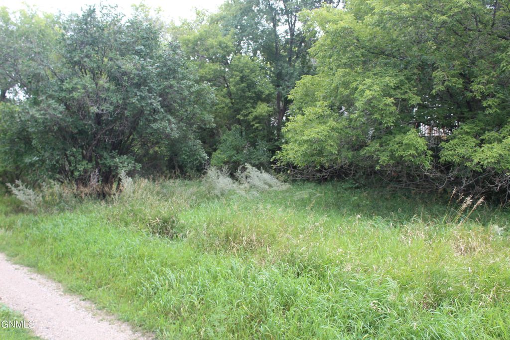 207 11th Street NE, Jamestown, ND 58401 photo 10