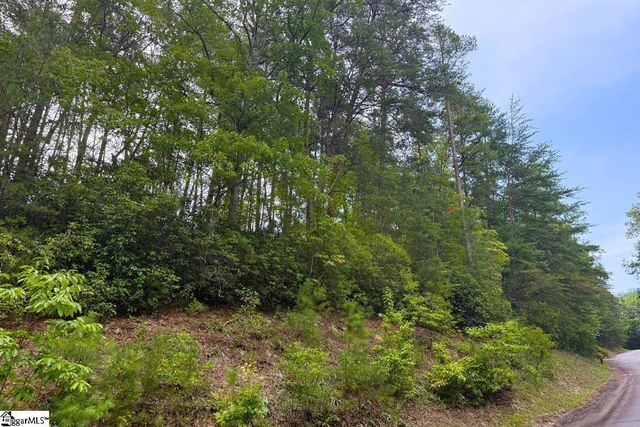 122 Teaberry Lane, Sunset, SC 29685