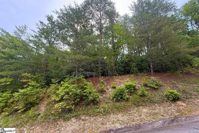 122 Teaberry Lane, Sunset, SC 29685