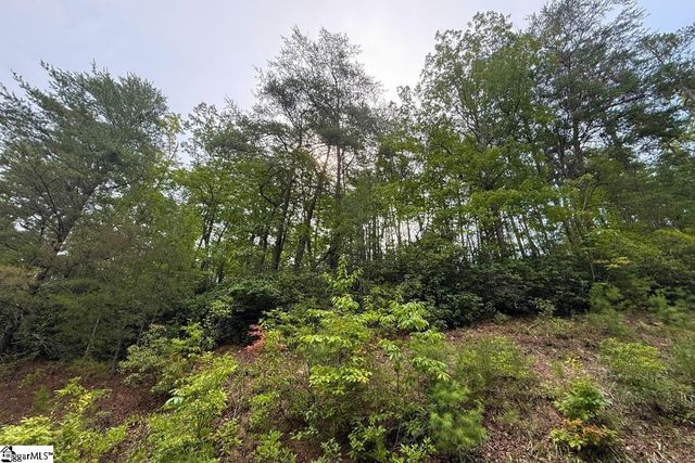 122 Teaberry Lane, Sunset, SC 29685