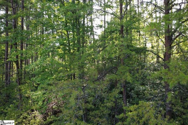 122 Teaberry Lane, Sunset, SC 29685