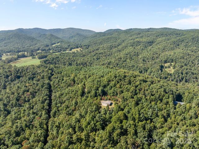 473 Eli Capps Road, Zirconia, NC 28790