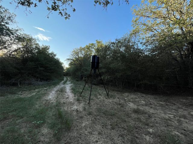 0 Mule Creek Road, Harwood, TX 78632