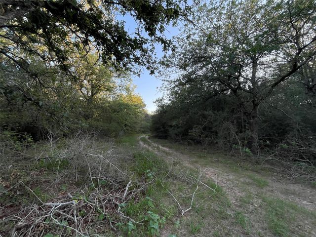 0 Mule Creek Road, Harwood, TX 78632