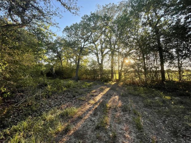 0 Mule Creek Road, Harwood, TX 78632
