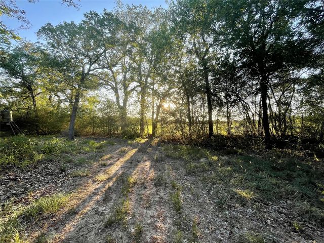 0 Mule Creek Road, Harwood, TX 78632