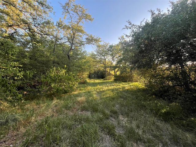 0 Mule Creek Road, Harwood, TX 78632