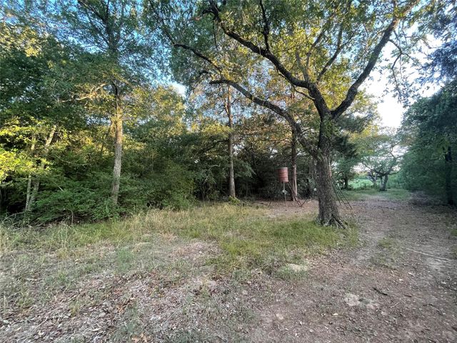 0 Mule Creek Road, Harwood, TX 78632