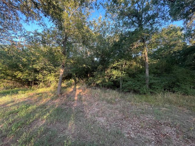 0 Mule Creek Road, Harwood, TX 78632