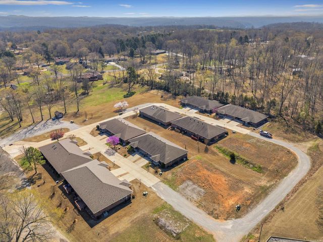 38 Devonshire Circle, Lakeview, AR 72642