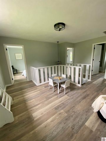 115 Marsha Drive, Ledbetter, KY 42058