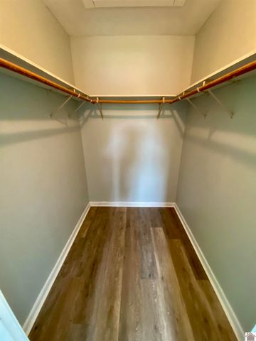 115 Marsha Drive, Ledbetter, KY 42058