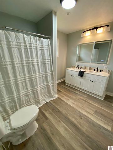 115 Marsha Drive, Ledbetter, KY 42058