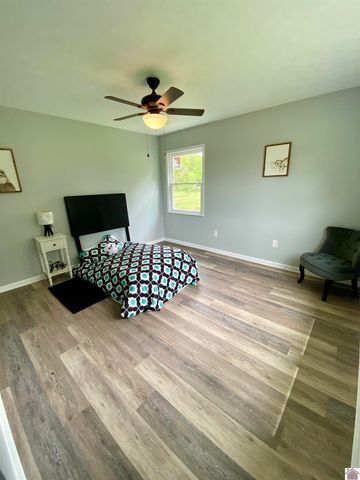 115 Marsha Drive, Ledbetter, KY 42058