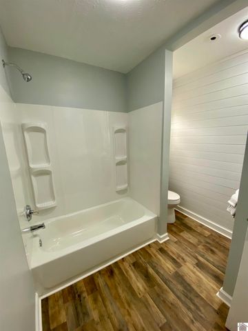 115 Marsha Drive, Ledbetter, KY 42058