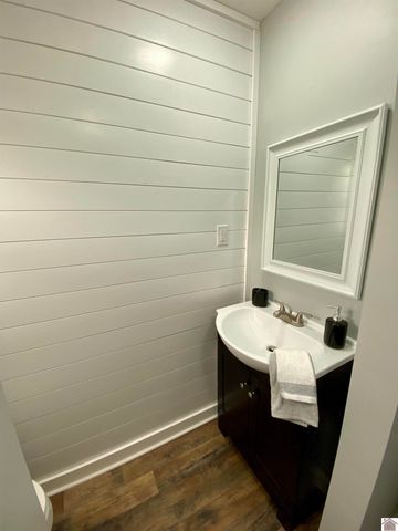 115 Marsha Drive, Ledbetter, KY 42058