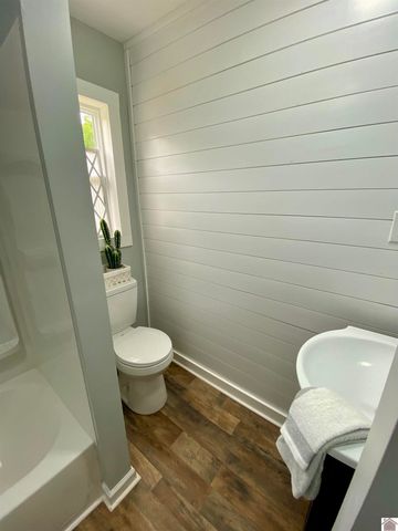 115 Marsha Drive, Ledbetter, KY 42058