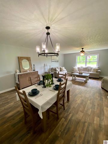 115 Marsha Drive, Ledbetter, KY 42058