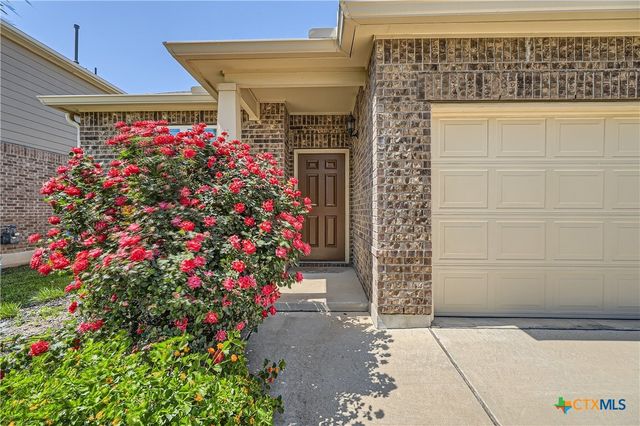 184 Palm Drive, Buda, TX 78610