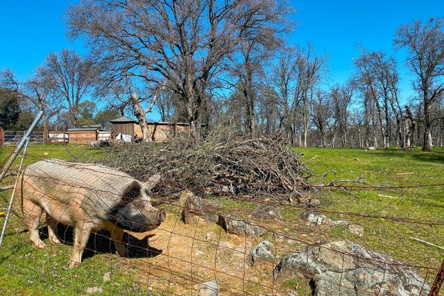 300 Stoney Oaks Blvd, Oroville, CA 95966