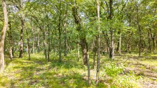 000 Pr 206, Bonham, TX 75418