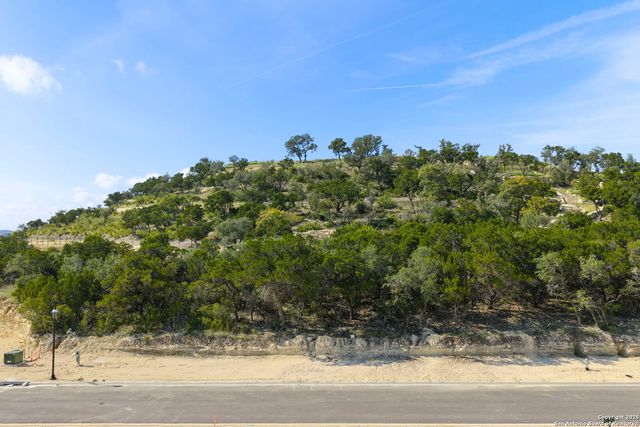 21227 Treetop Terrace, San Antonio, TX 78257
