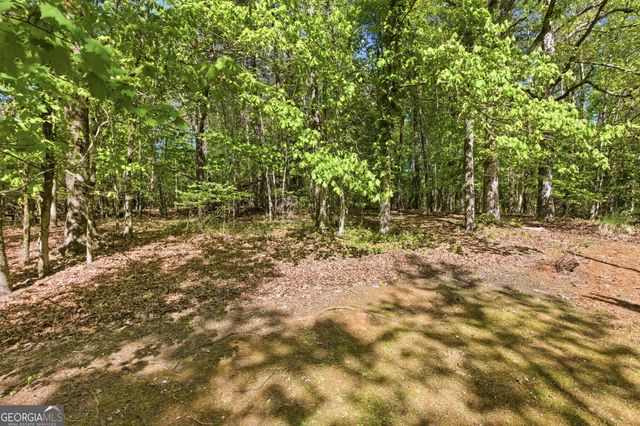 325 Blue Creek Cove, Cleveland, GA 30528