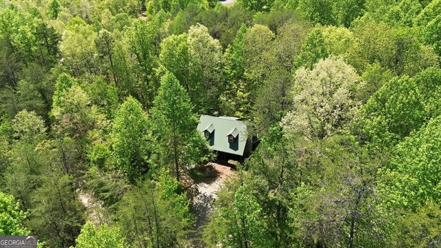 325 Blue Creek Cove, Cleveland, GA 30528