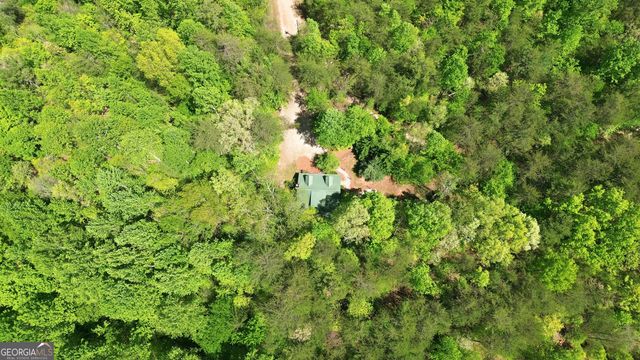 325 Blue Creek Cove, Cleveland, GA 30528