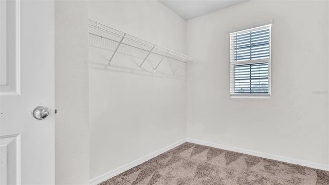 3097 SUNCOAST PLAINS DRIVE, Odessa, FL 33556