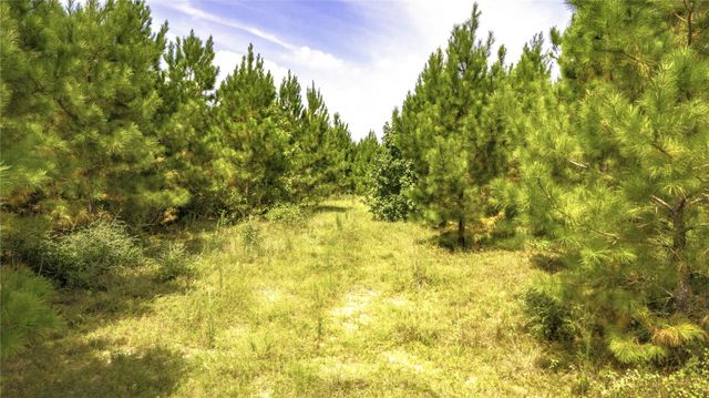 TBD Stutts Hill, Livingston, TX 77351