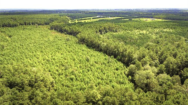 TBD Stutts Hill, Livingston, TX 77351
