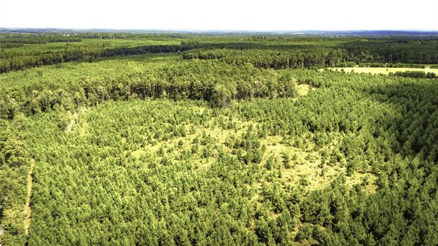 TBD Stutts Hill, Livingston, TX 77351
