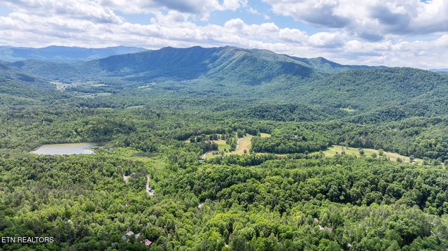 Ace Gap Rd, Townsend, TN 37882