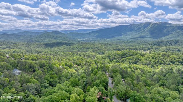 Ace Gap Rd, Townsend, TN 37882