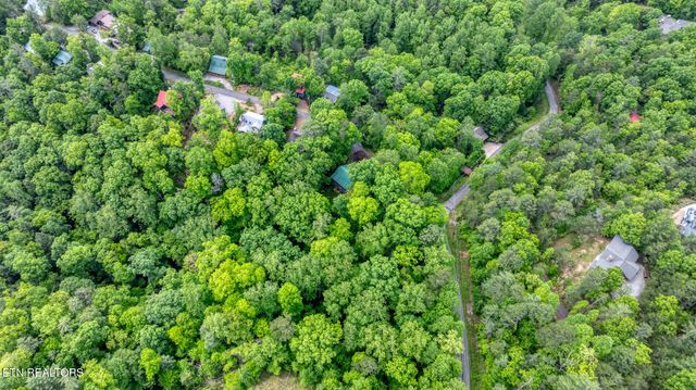 Ace Gap Rd, Townsend, TN 37882