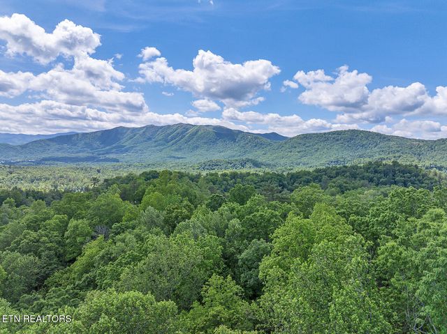 Ace Gap Rd, Townsend, TN 37882