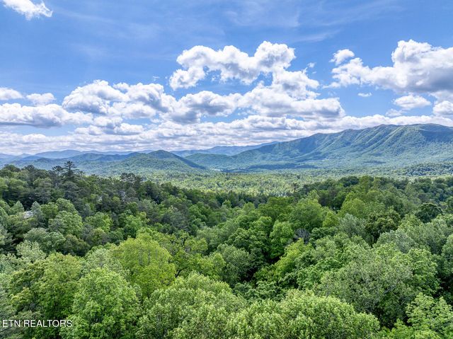 Ace Gap Rd, Townsend, TN 37882