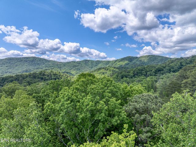 Ace Gap Rd, Townsend, TN 37882