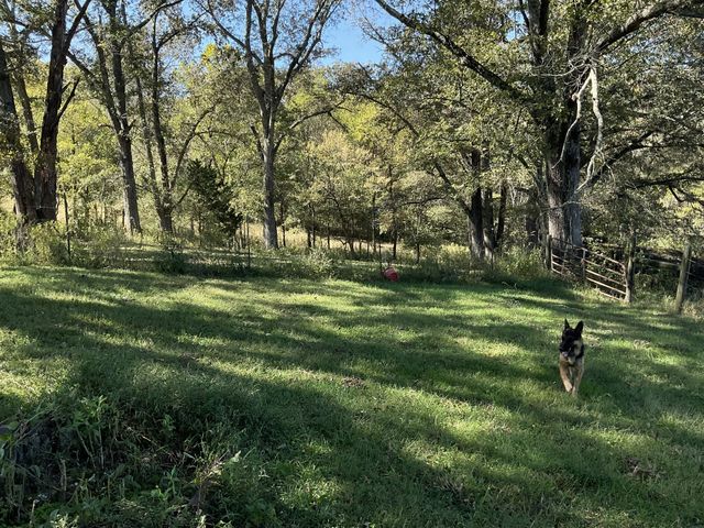 3318 Burr Rd, Springfield, TN 37172