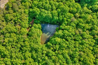 8.52 AC Mcnelley Road, Morganton, GA 30560