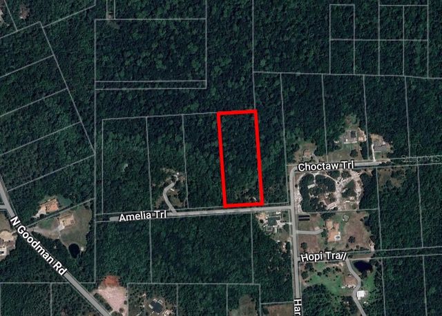 8401 AMELIA TRAIL, Kissimmee, FL 34747