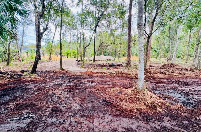 8401 AMELIA TRAIL, Kissimmee, FL 34747