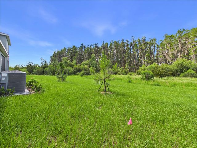 32519 WELLING BLADE LOOP, Wesley Chapel, FL 33545