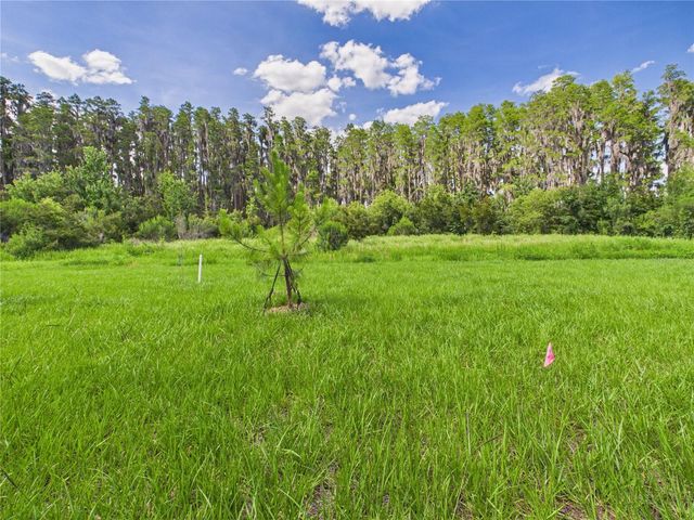 32519 WELLING BLADE LOOP, Wesley Chapel, FL 33545