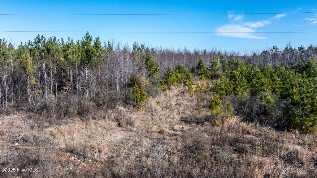 Image 44 of property listing at 1100 Ben Smith Road, Siler City, NC 27344