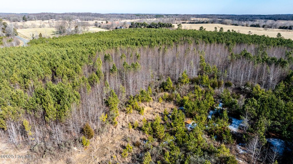 Image 45 of property listing at 1100 Ben Smith Road, Siler City, NC 27344